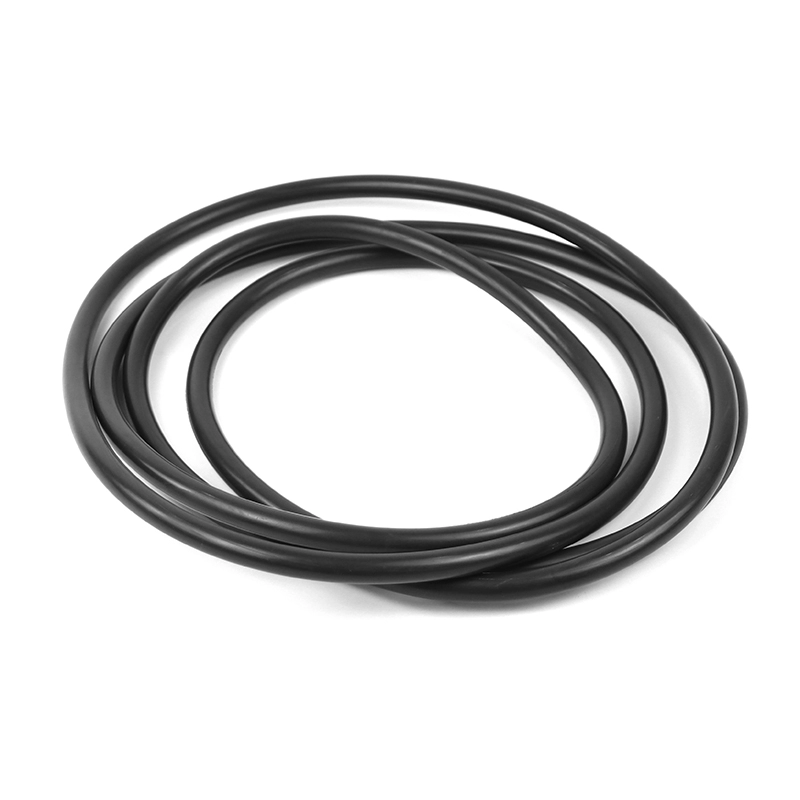 โอริงสีดำขนาดใหญ่ยักษ์